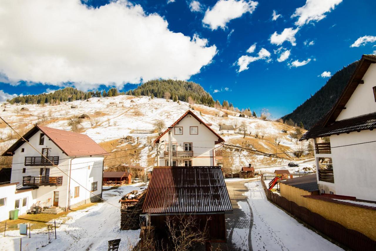 Vila Moecel Moeciu De Sus Luaran gambar